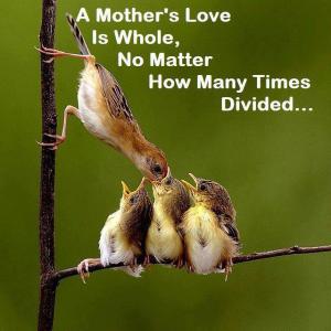 motherslove