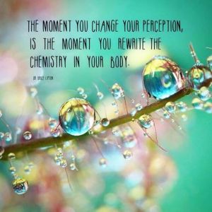 11220086_10153295489397264_7241306120392575078_n