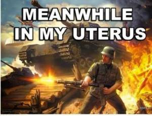 uterus