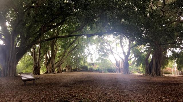 wp-1543947805541 image