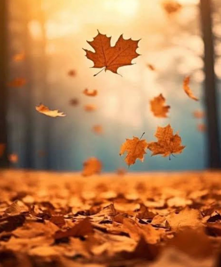 screenshot_20260301_134754_chrome7151388318905502004